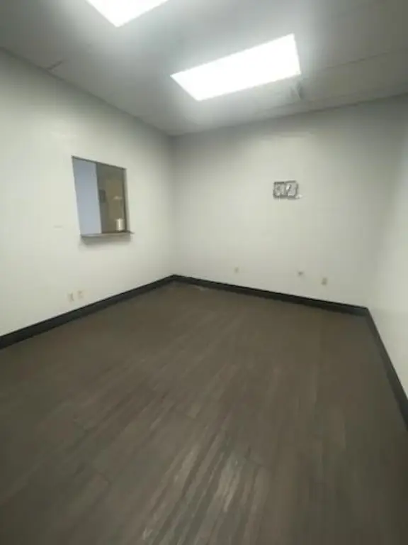Picture 15