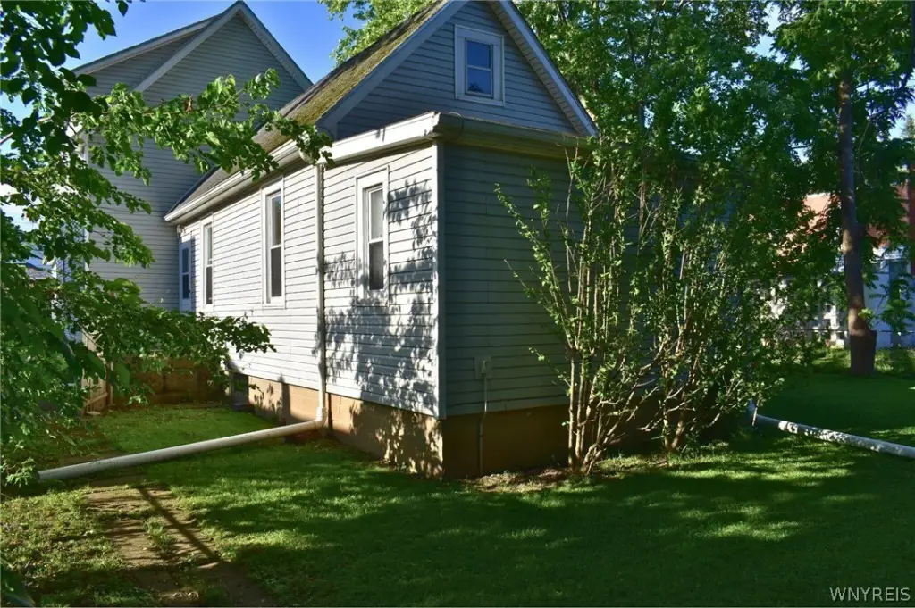 Picture 8