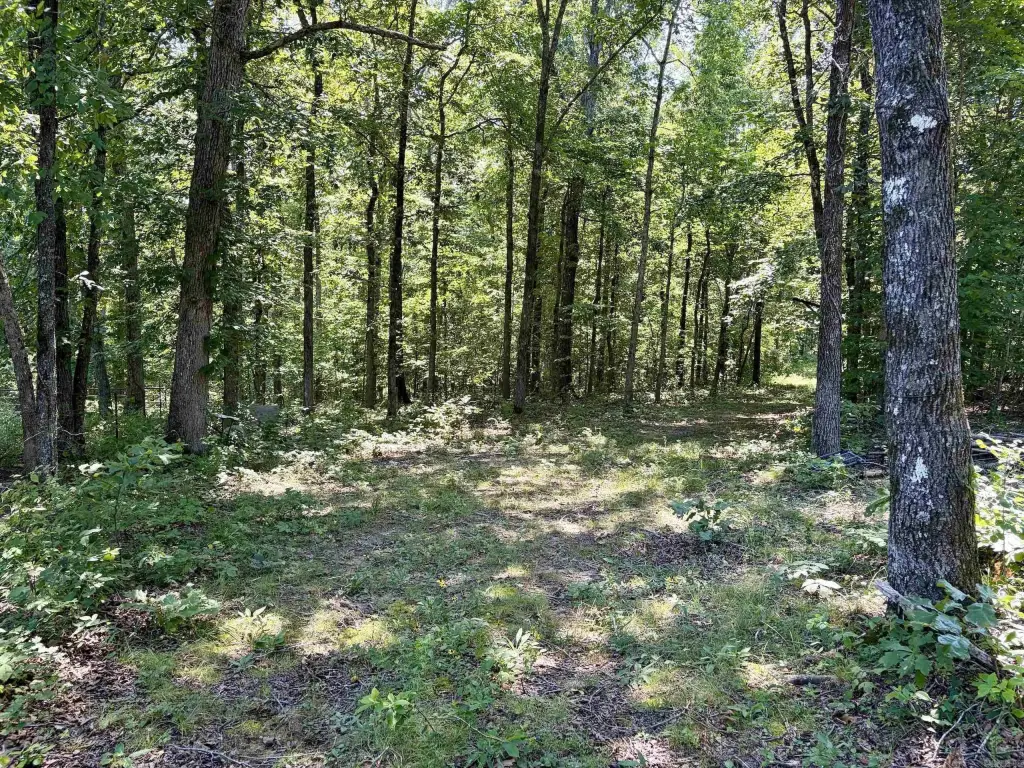 Picture 12