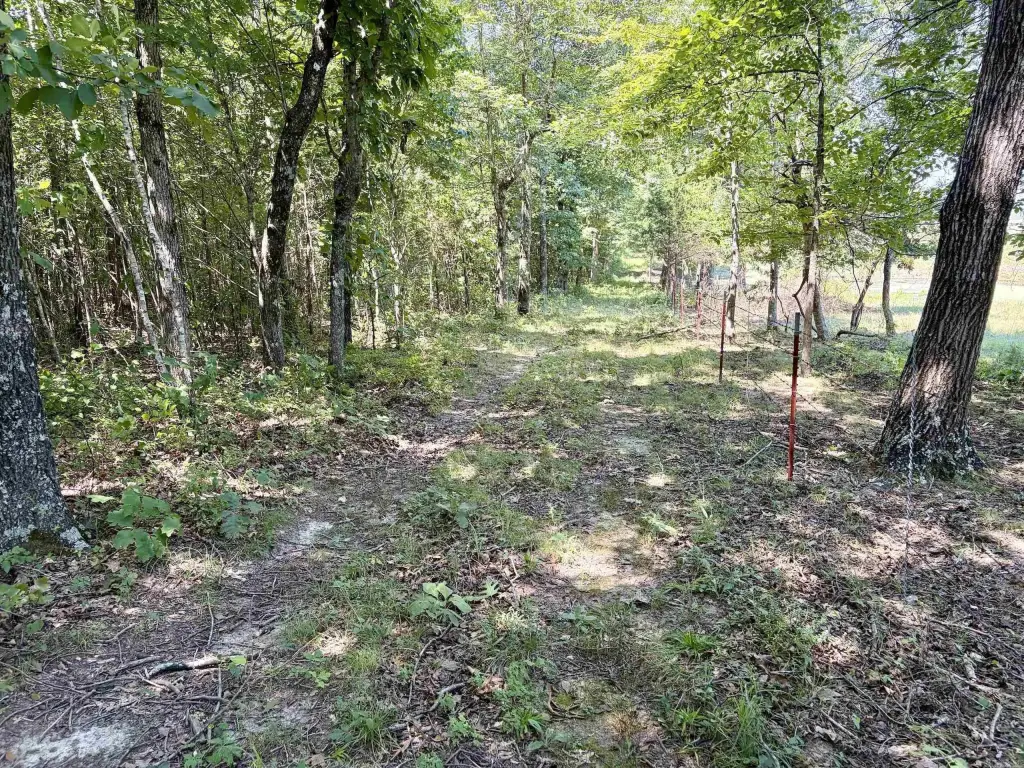 Picture 11