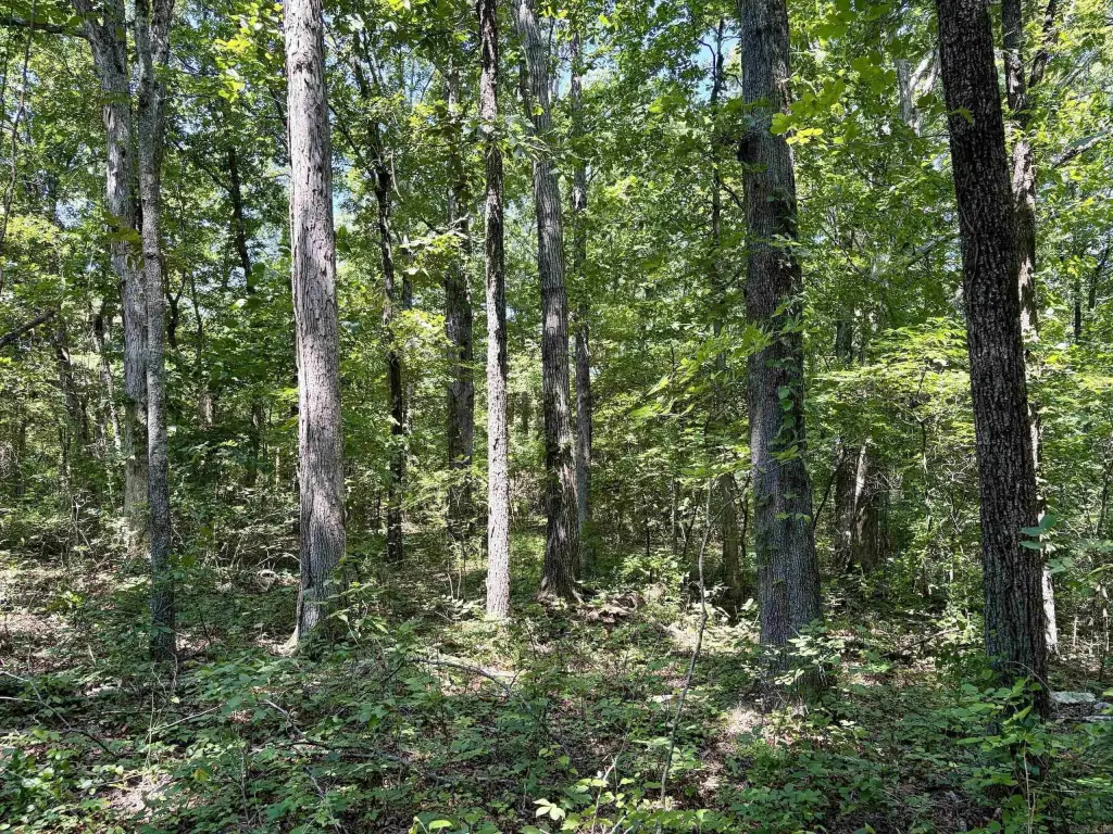 Picture 19
