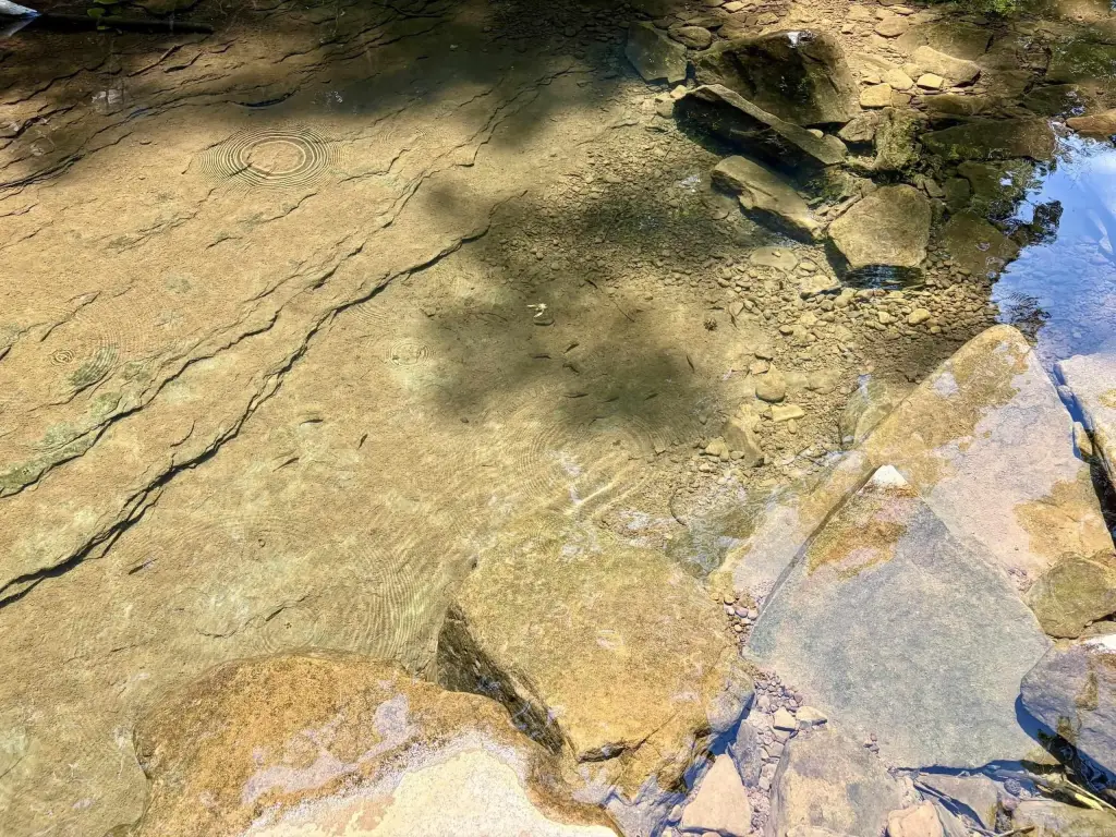 Picture 29