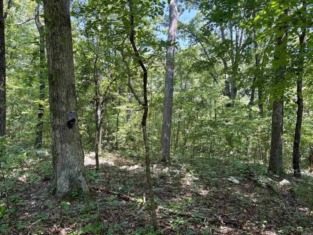 Picture 18