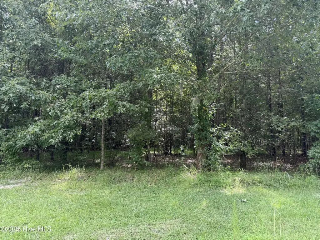 Picture 10