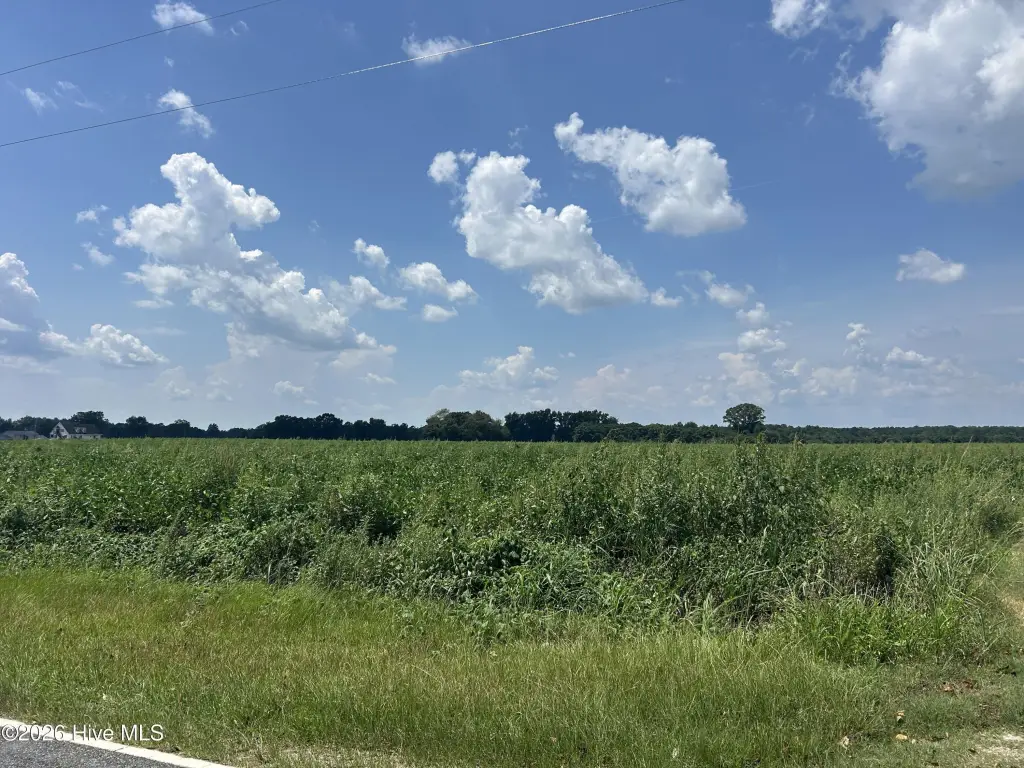 Picture 28