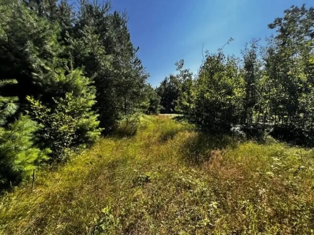 Picture 8