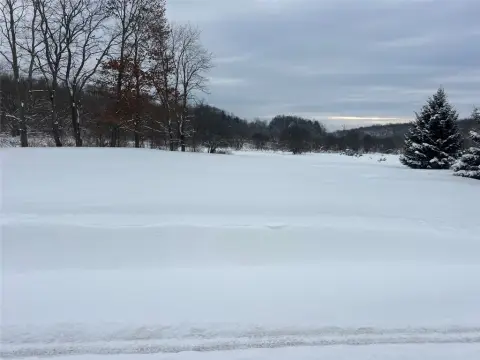 Erie Land with Wooded Backyard