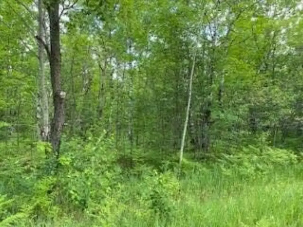 Picture 8
