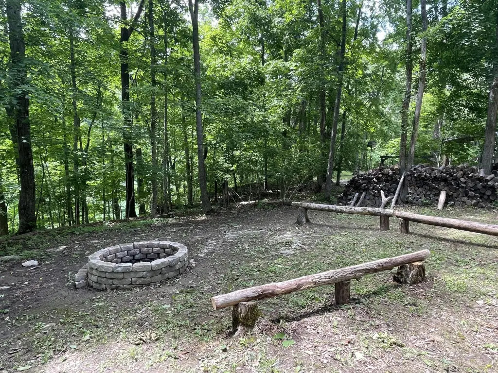 Picture 4