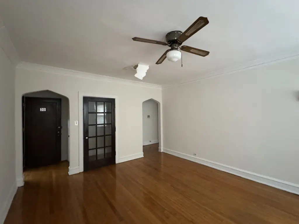 Picture 6