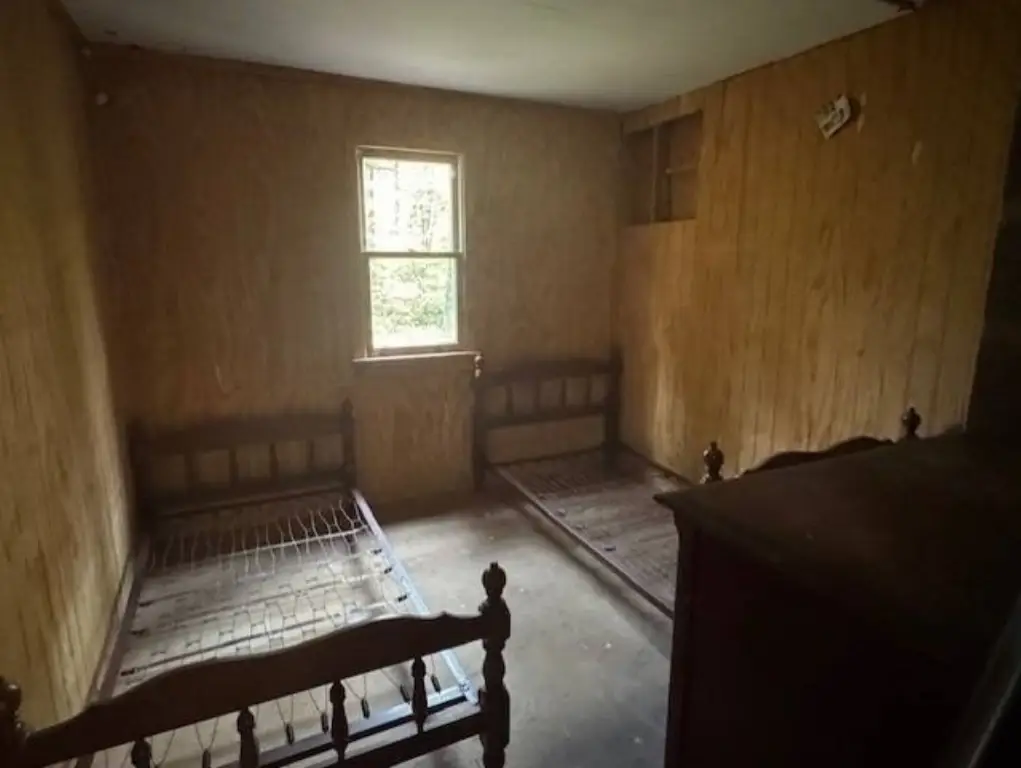 Picture 5