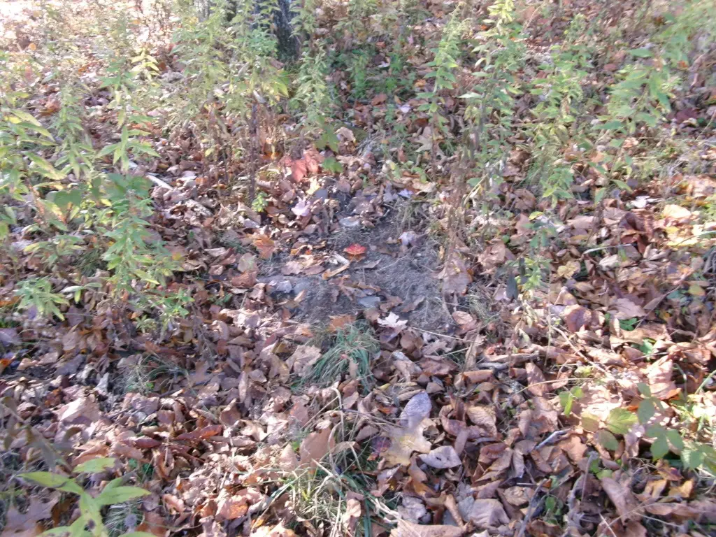 Picture 19