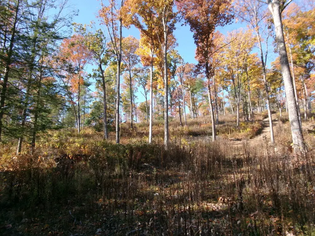 Picture 10