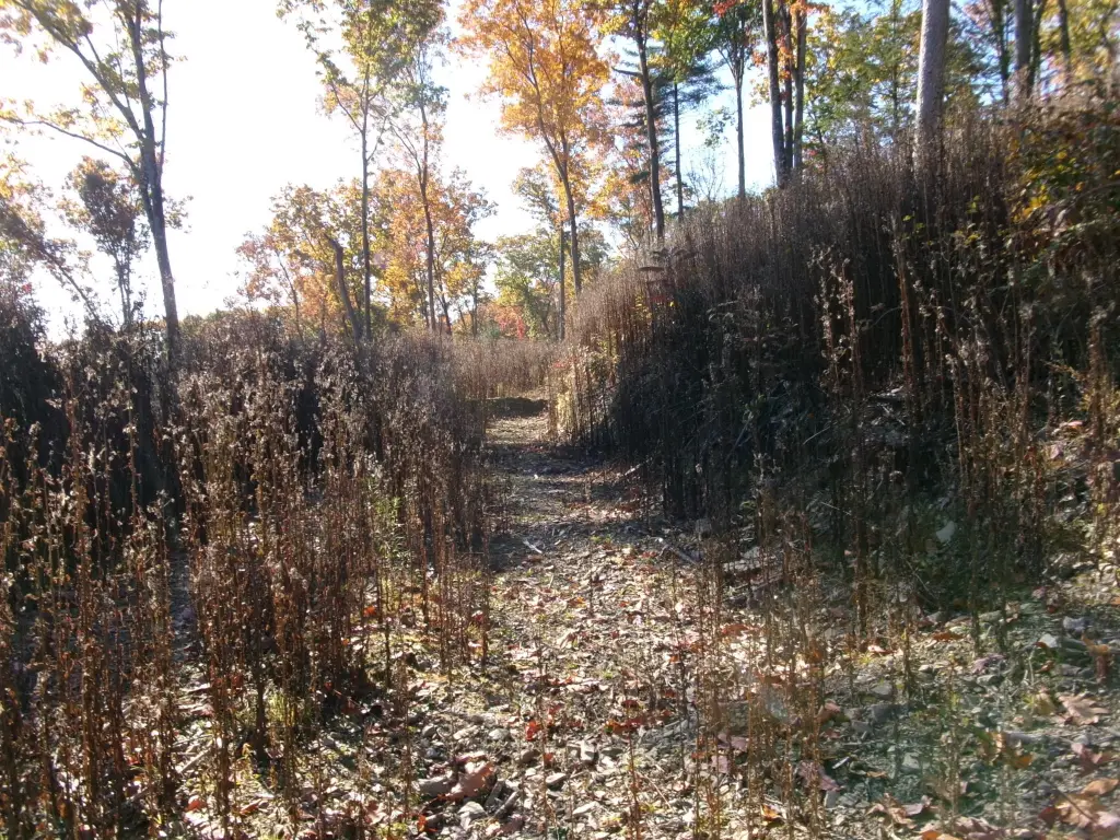Picture 14