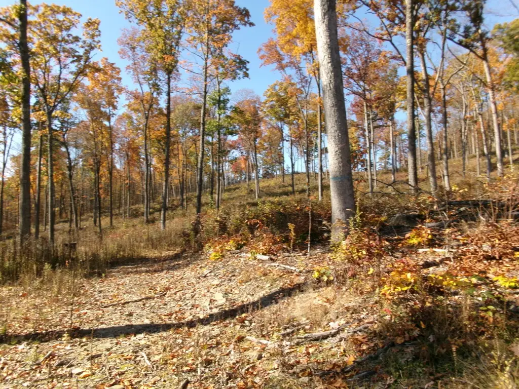 Picture 16