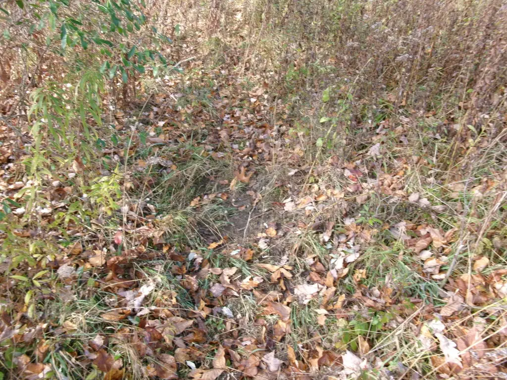 Picture 13