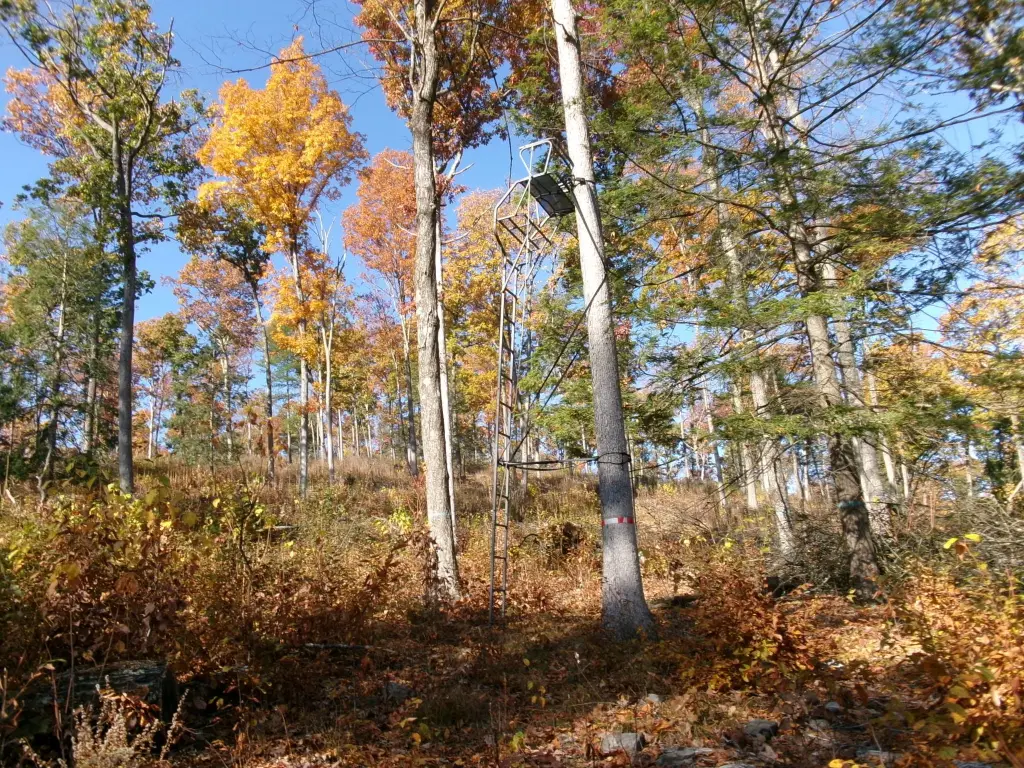 Picture 22