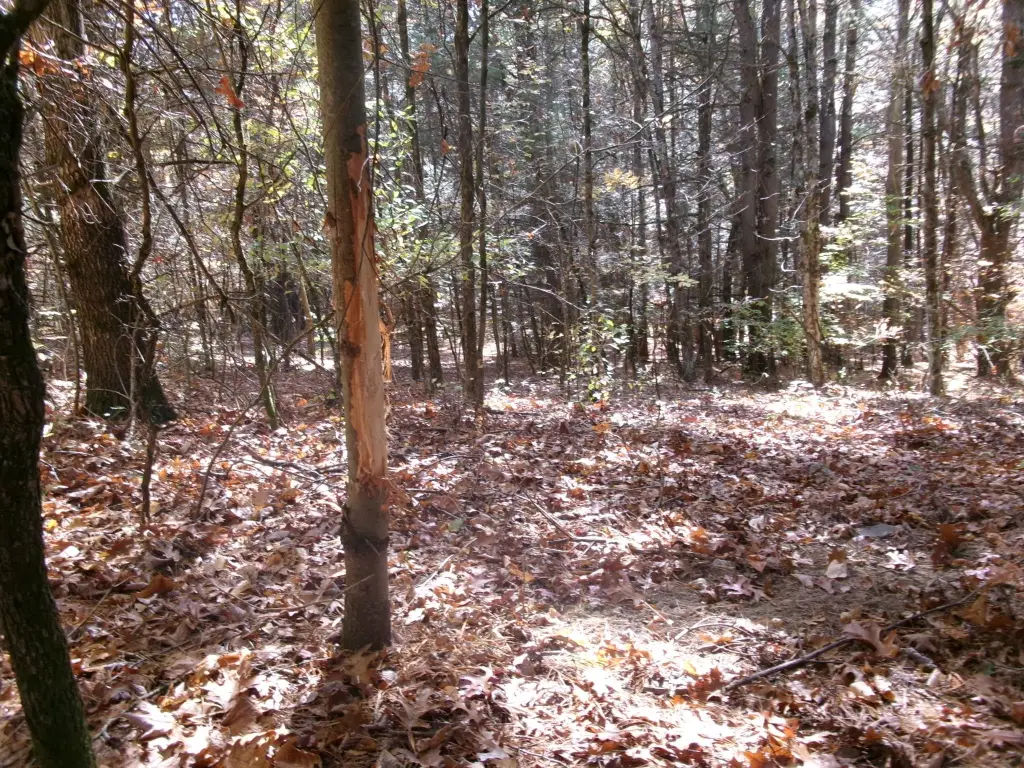 Picture 2