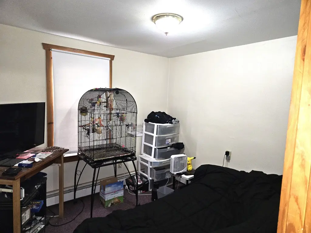 Picture 35