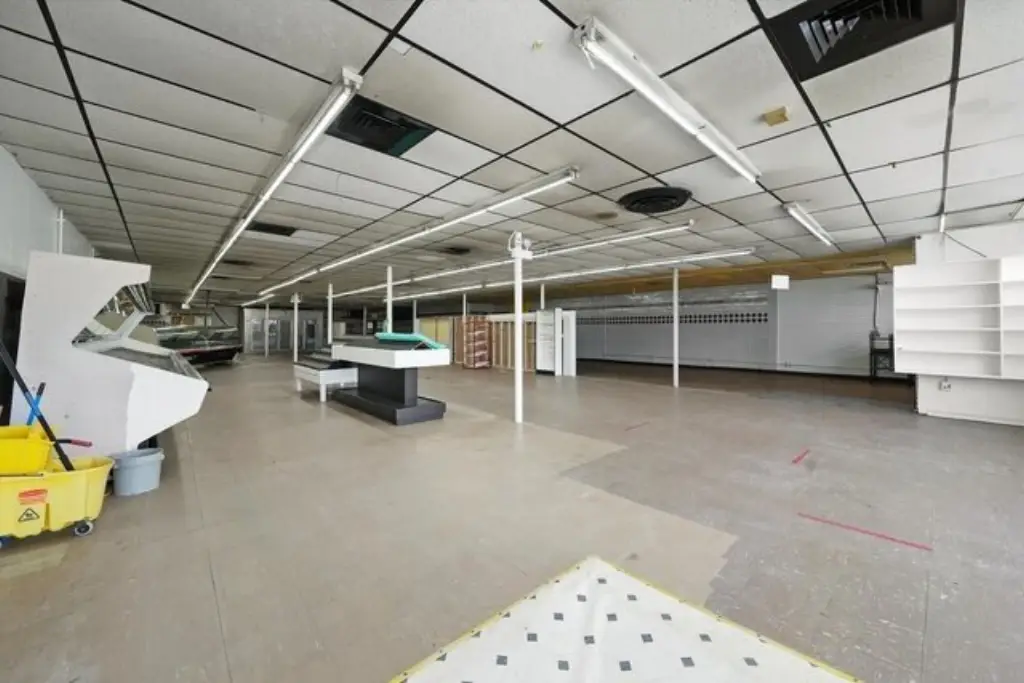 Picture 5