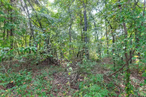 East Texas Acreage Near Tyler