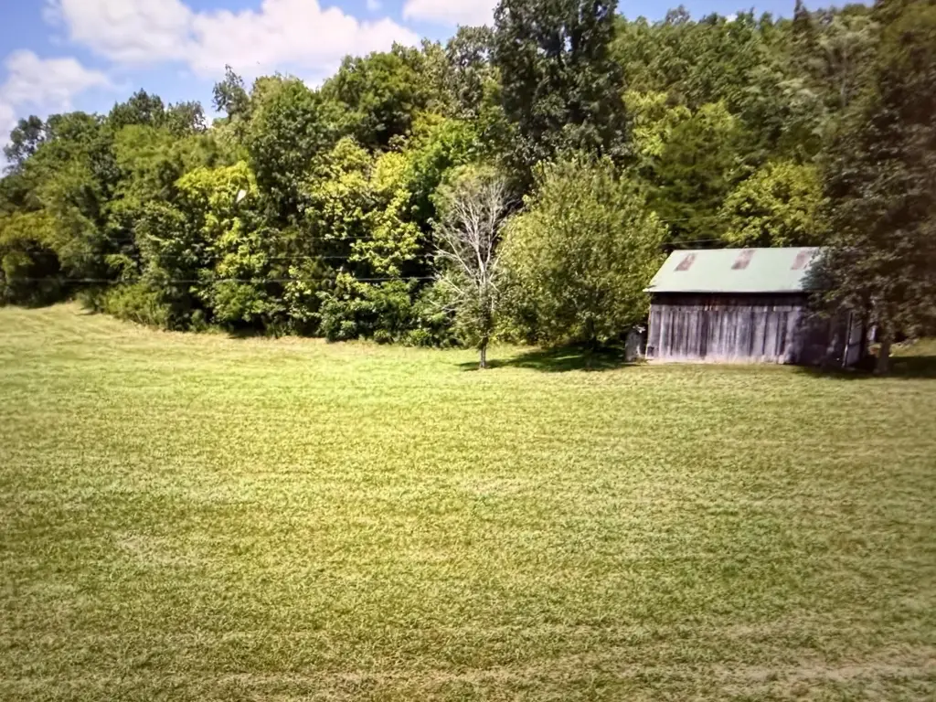 Picture 10