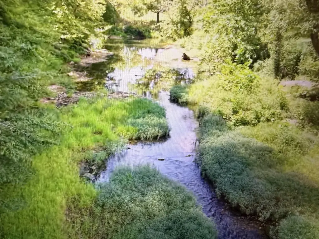Picture 6