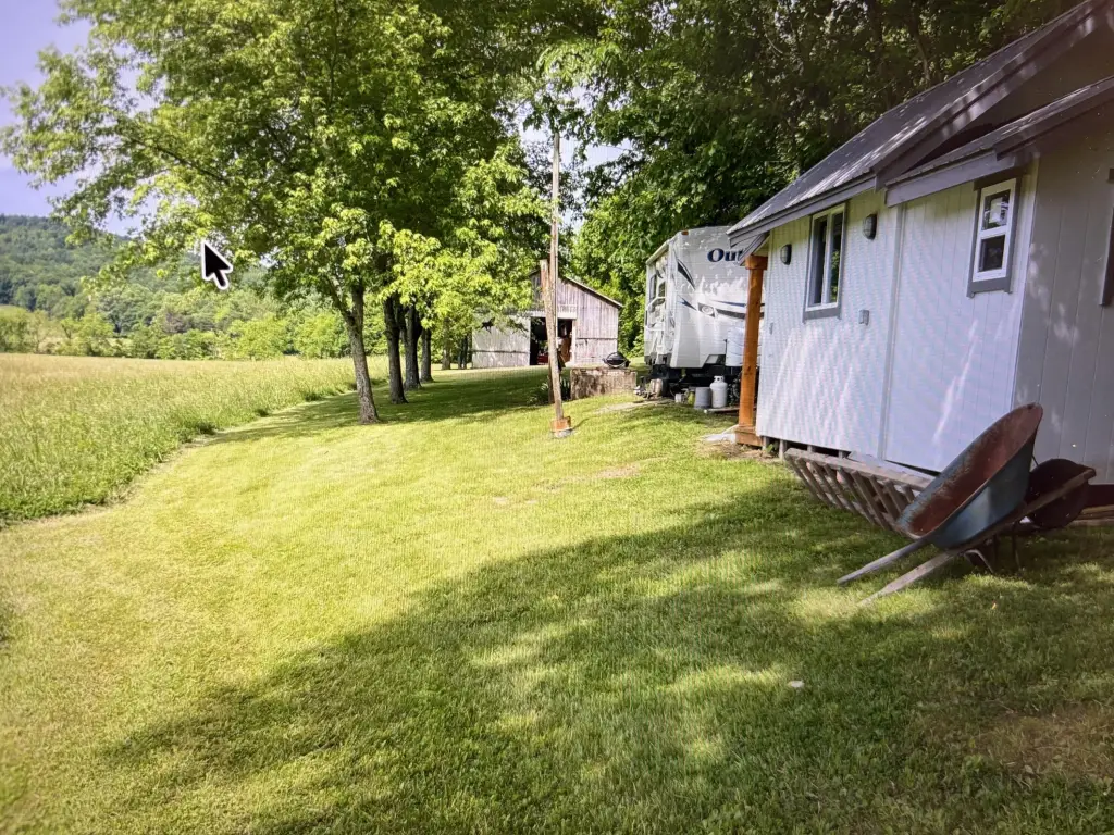 Picture 12