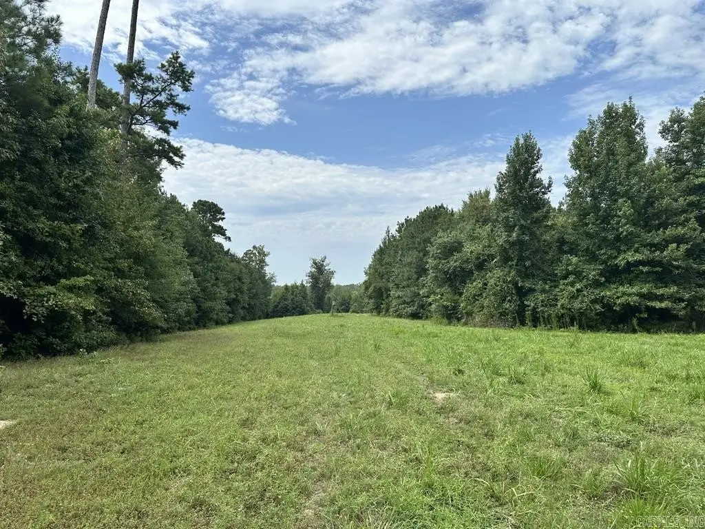 Picture 16