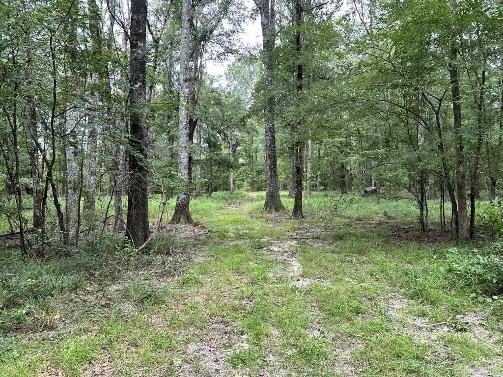 Picture 23