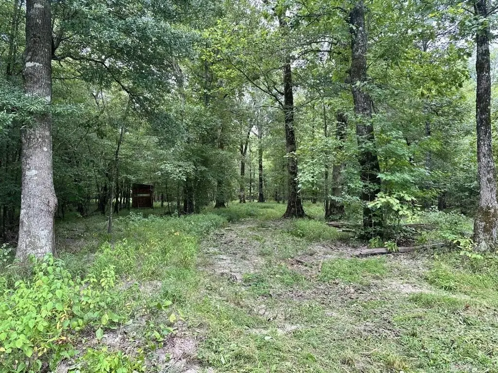 Picture 38