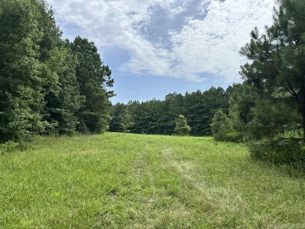 Picture 18