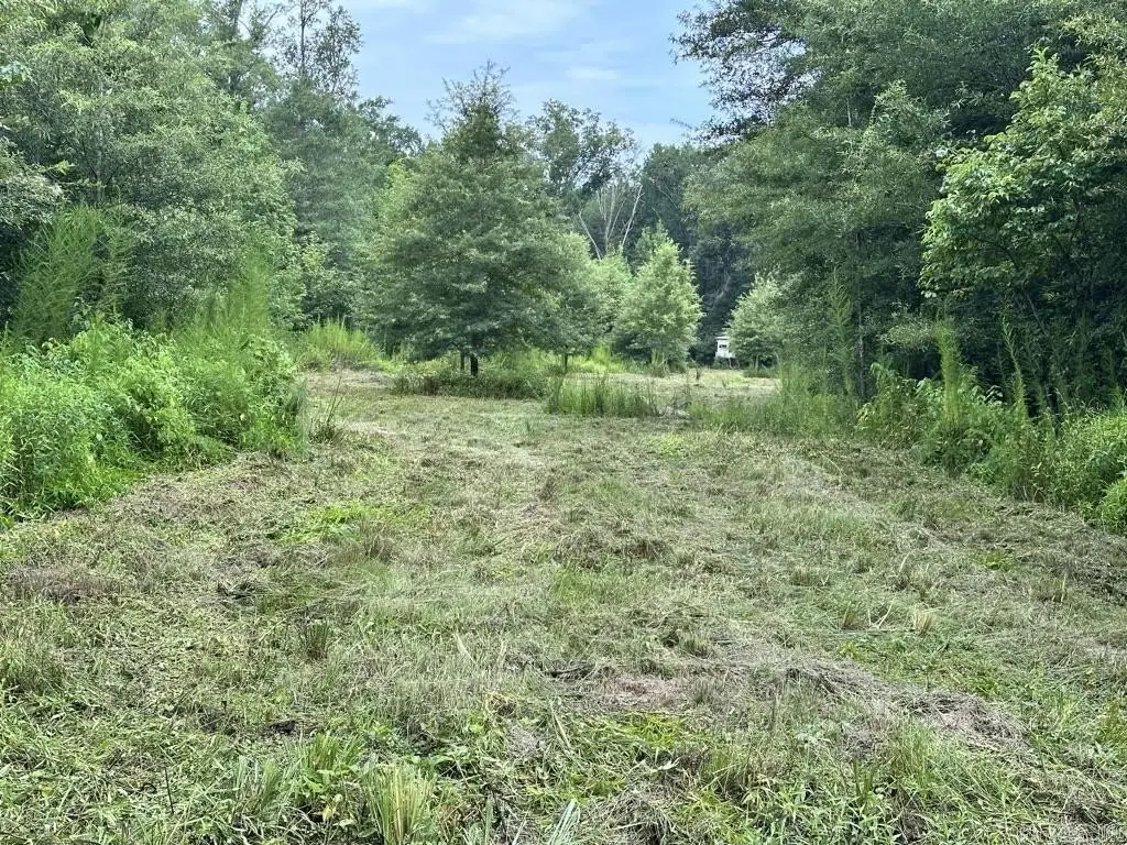 Picture 20