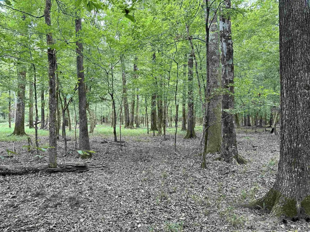 Picture 33