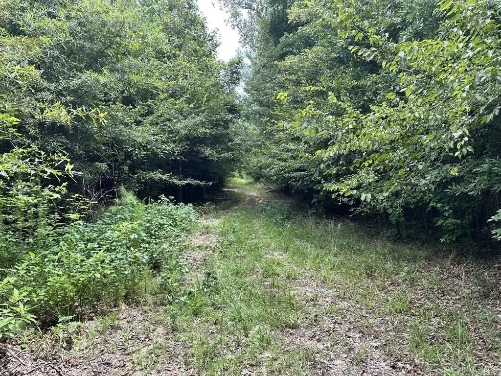 Picture 32
