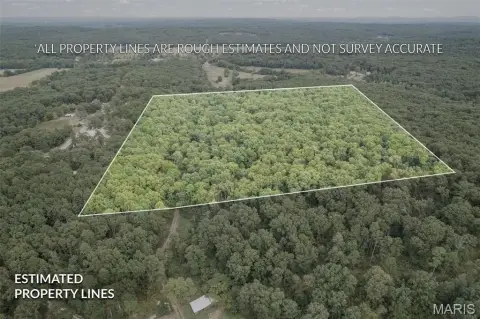 40 Acres of Raw Land