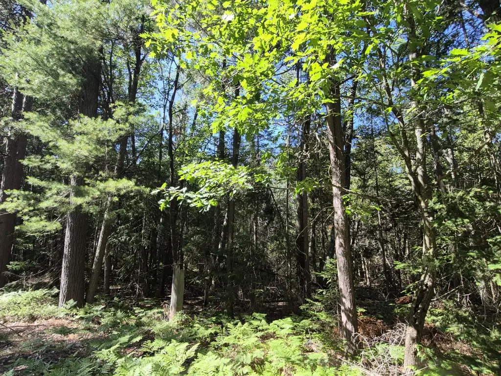 Picture 24