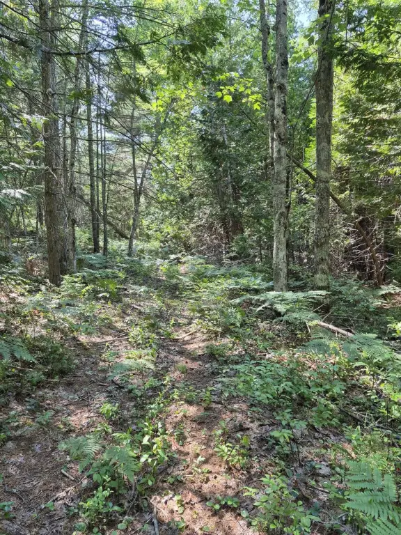 Picture 41