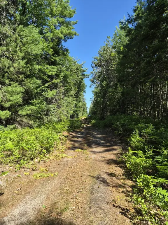 Picture 19