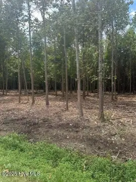 Wooded Residential Lot For Sale