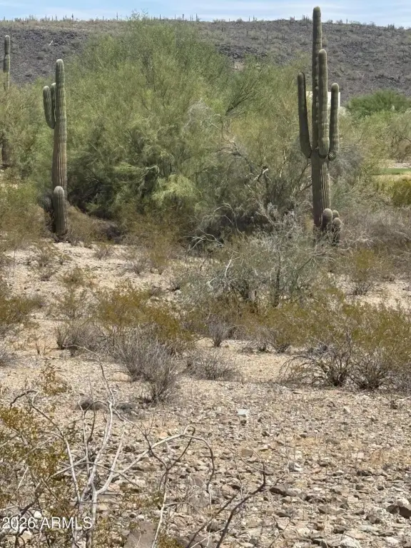 Picture 5