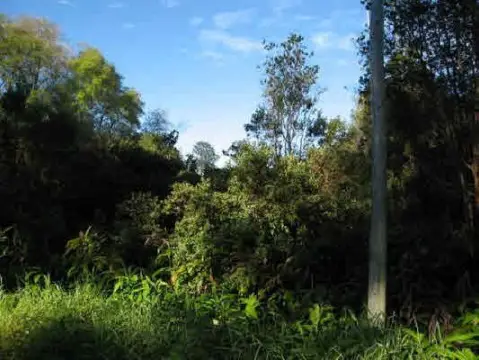 Volcano Pastureland on Highway