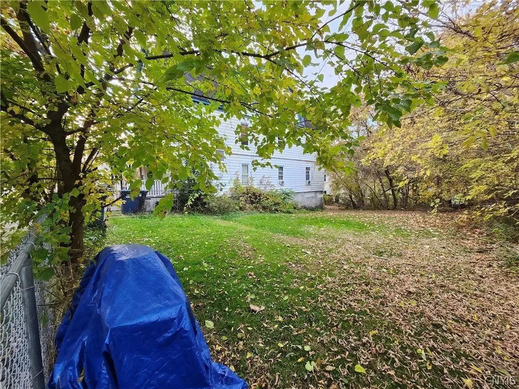 Picture 4