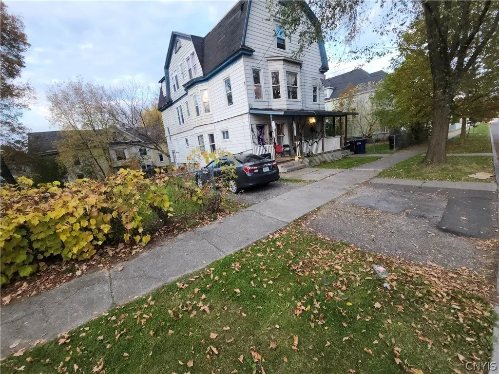 Picture 5