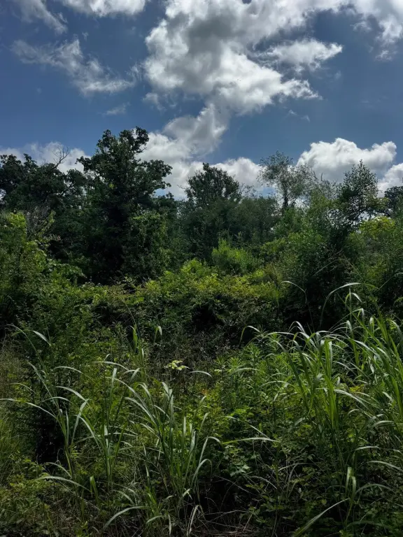 Picture 21
