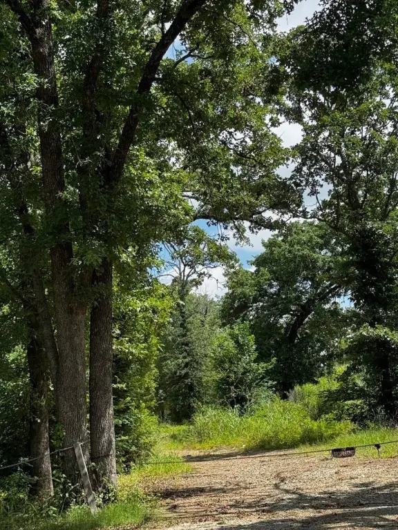 Picture 23