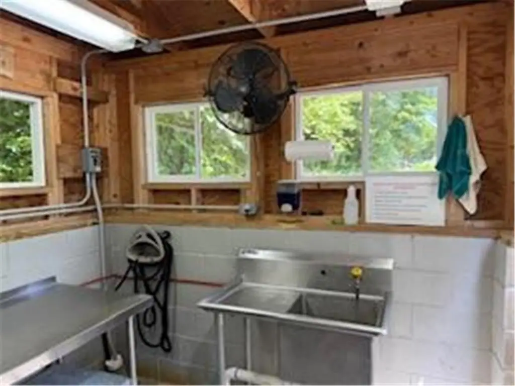 Picture 17
