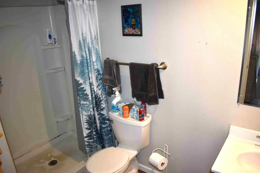 Picture 12
