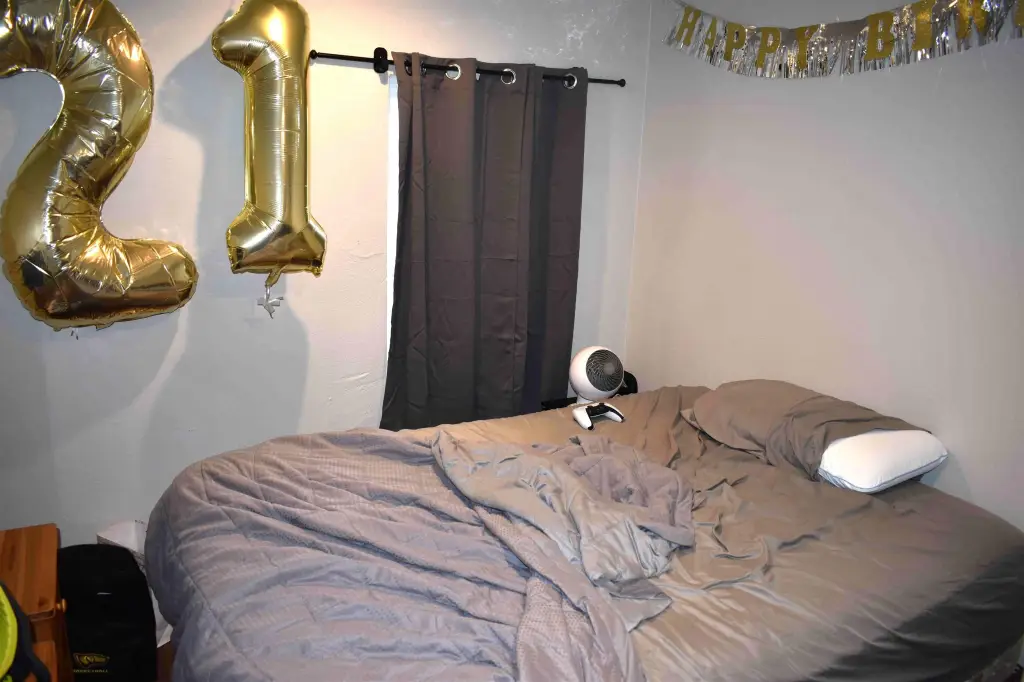 Picture 13
