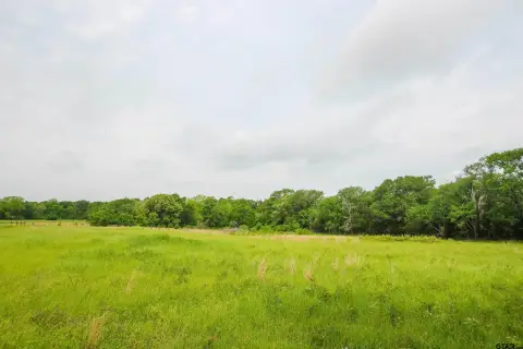9.98 Acres in Wills Point